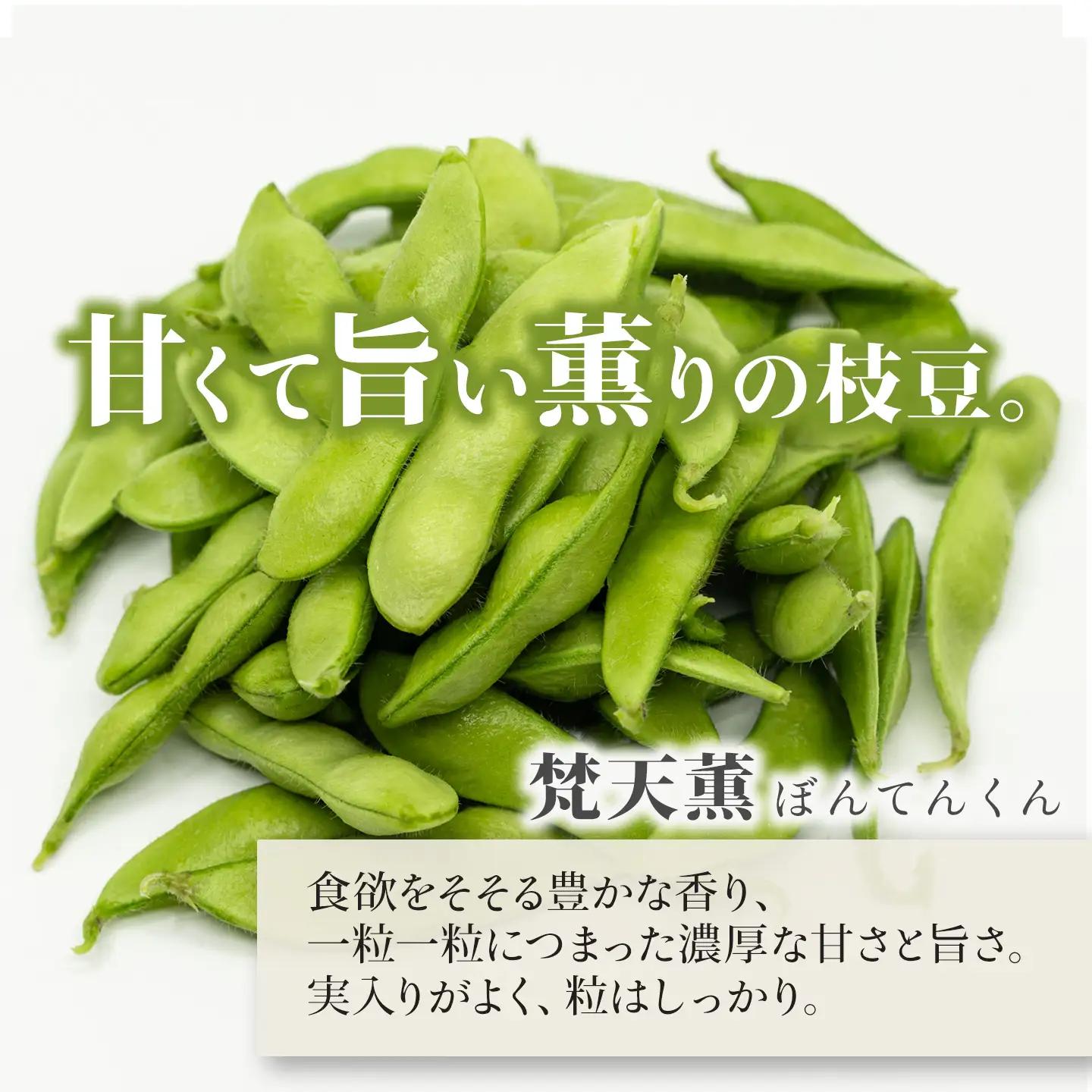 枝豆 梵天薫えだまめ（優品・家庭用）180g×5袋 枝豆