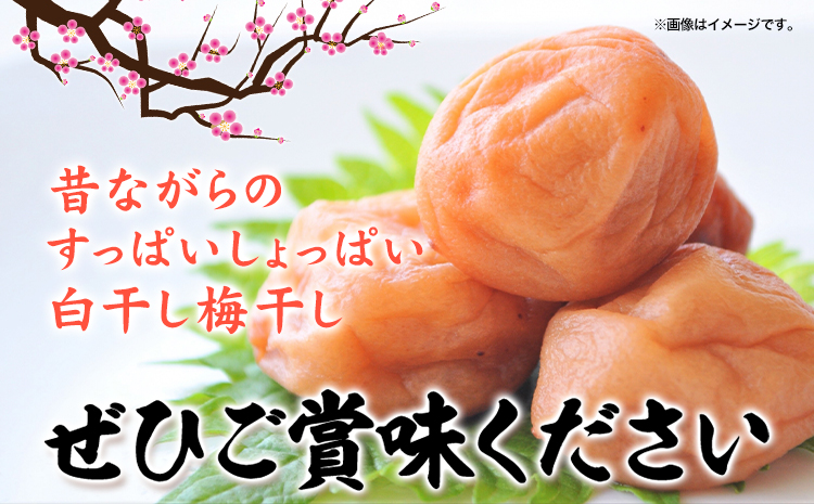 梅干し 白干し梅干し 1kg 中玉 2L 和歌山県産 株式会社とち亀物産 《30日以内に出荷予定(土日祝除く)》 和歌山県 日高町 梅 うめ 白干し 梅干し うめぼし 紀州南高梅 漬物 漬け物 ごはん