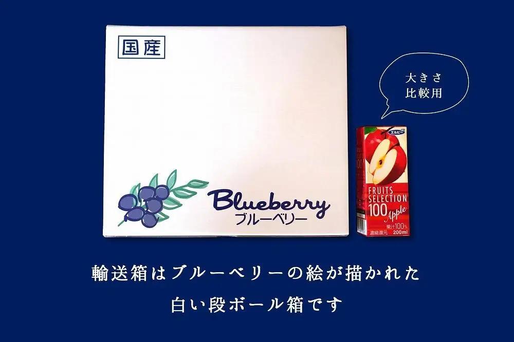 【2027年 予約受付】樹上完熟 フレッシュ ブルーベリー （無農薬・殺虫剤不使用） 500g （125g×4）