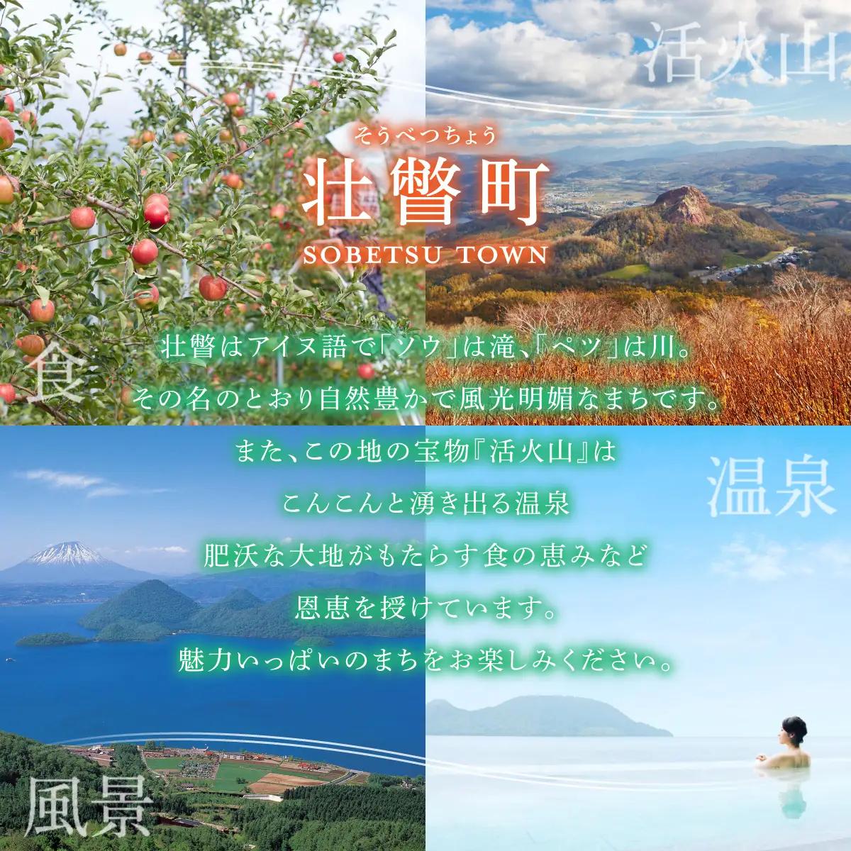 【ふるなびWEEK対象】シードル・デ・ソウベツセット（スイート2本・ドライ1本）＜そうべつ産りんご100%使用＞ SBTA037