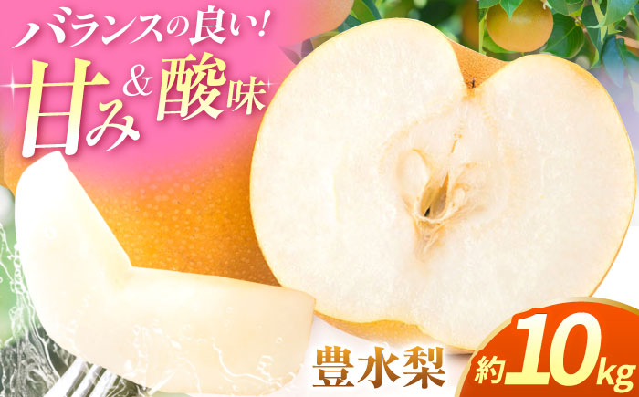 【先行予約】豊水梨　約10kg  梨 ナシ フルーツ 果物 【日本フルーツ株式会社】 [ZFJ014]