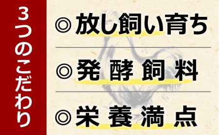 海賊卵【烏骨鶏卵】12個×６回【６か月定期便】[VE00840]