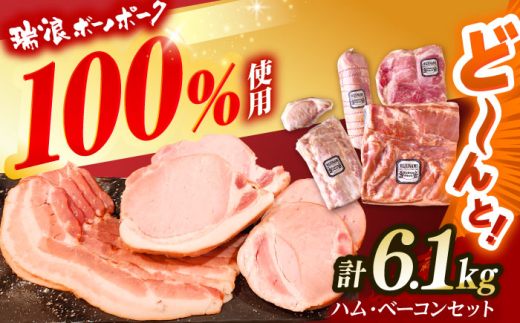 ハム・ベーコン ブロック セット 瑞浪ボーノポーク 6.1kg (冷凍) 瑞浪市 / きなぁた瑞浪 詰め合わせ ギフト [AZCI012]