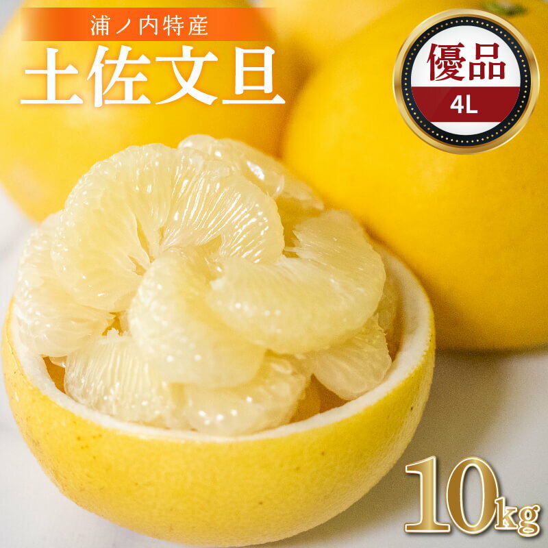 【早期予約開始!!2026年2月頃より順次発送】【ふるさと納税】 浦ノ内特産 土佐文旦 10kg 優品 4Lサイズ | みかん 蜜柑 柑橘 文旦 大玉 10キロ 明神果樹園 人気 ランキング 数量限定 期間限定 高知県 須崎市 ふるさと納税果物 MKJ002_xx