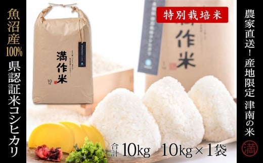 【2025年産新米】県認証米魚沼産コシヒカリ 10kg(10kg×1袋) 産地限定！農家直送