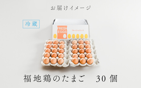 濃厚で甘くておいしい！ 福井ブランド「福地鶏」の卵 30個（15個入×2段） ／ 卵 たまご 鶏卵 生卵 有精卵 高級 高級卵 福地鶏 鶏 平飼い 美味しい こだわり 卵かけご飯 料理 あわら市 福井