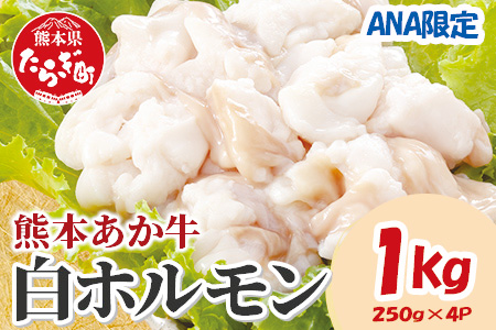 【ANA限定】熊本あか牛 白ホルモン 1kg（250g×4パック）熊本 熊本県産 あか牛 冷凍 真空 もつ鍋 ホルモン 焼き肉 041-0172