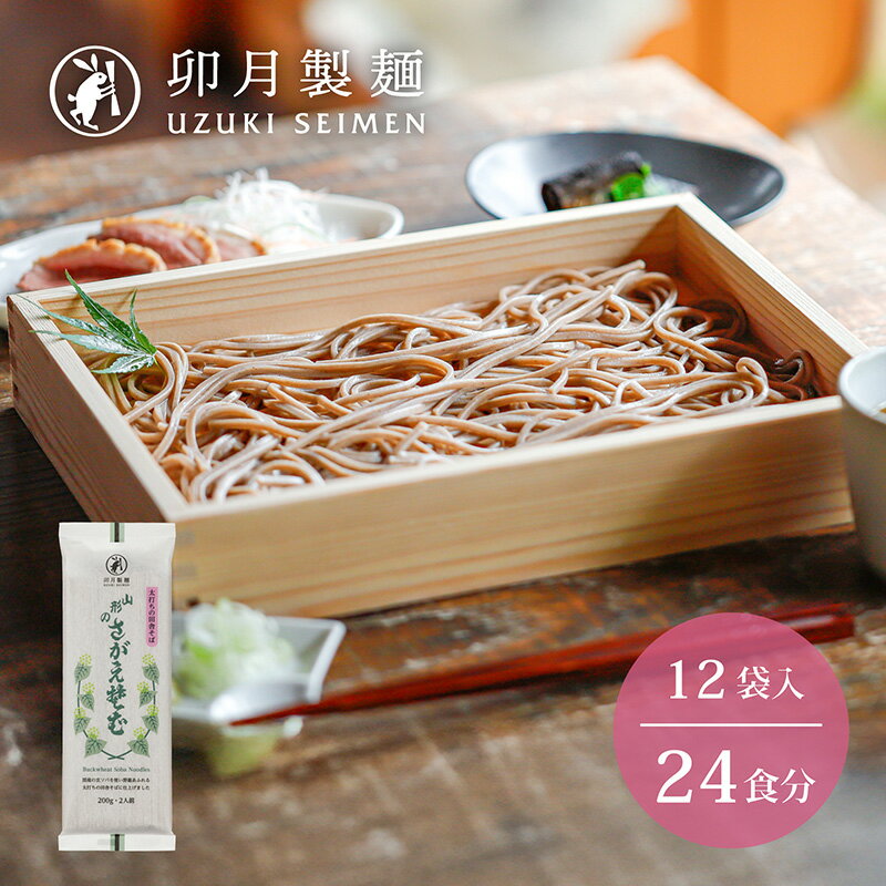 【ふるさと納税】卯月製麺 「山形のさがえそば」24人前 （2人前×12袋）／ お取り寄せ 備蓄 小分け 個包装 保存 便利 詰め合わせ 詰合せ 食べ比べ ご当地 グルメ 土産 特産 名物 年越し 東北 山形 蕎麦 麺