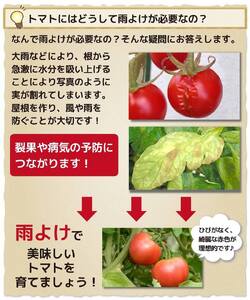 daim 家庭菜園雨よけセット ワイド 組み立て簡単！丈夫で長持ち！！【雨よけ 透明シート 雨除けシート 棚 雨除け トンネル 野菜 家庭菜園用 ビニールハウス 家庭用 小型 園芸 雨よけシート 雨除