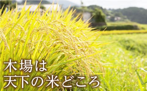 【令和5年度産】木場湧水米＜ひのひかり＞ 10kg×1袋 / 東彼杵町 / 木場みのりの会 / お米 米 白米 ふっくら ツヤツヤ 甘い 国産 10s [BAV002]