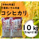 【ふるさと納税】【令和6年産米】　千葉県いすみ市産　コシヒカリ精米10kg(5kg×2袋)【1546629】