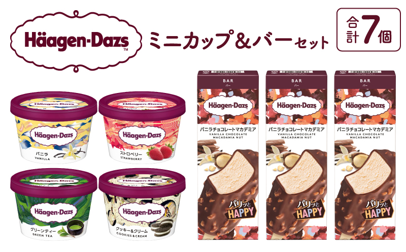 ハーゲンダッツ ミニカップ＆バーセット アイス スイーツ デザート_H0016-171