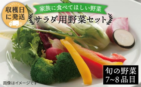 朝獲れ！栽培期間中、農薬・化学肥料不使用 プレミアムサラダ用糸島野菜セット(オーガニックナガミツファーム)[AGE002] 野菜セット 野菜 やさい サラダ 詰め合わせ トマト とまと