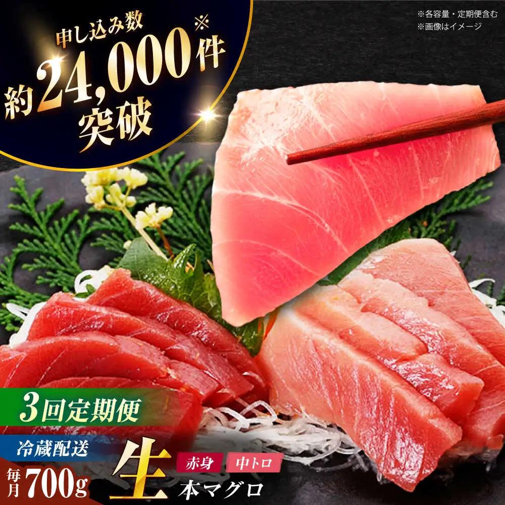 【全3回定期便】五島列島産養殖生本かみまぐろ 赤身 中トロ 計約700g[RBP067] 本マグロ 本まぐろ 定期便 本マグロ 本まぐろ 定期便 本マグロ 本まぐろ 定期便九州 長崎