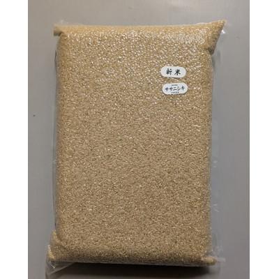 ふるさと納税 由利本荘市 令和8年産ササニシキ 玄米15kg(5kg×3袋)<栽培期間中節減対象農薬:当地比5割減>真空パック