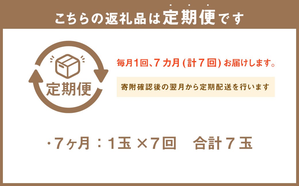 【7ヶ月定期便】静岡県産 高級アローマメロン 小玉 1玉（約0.9kg以上）