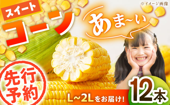 【先行予約】【6月上旬より順次発送】あま〜いスイートコーン（L〜2Lサイズ）12本入り　愛媛県大洲市/沢井青果有限会社 [AGBN007]コーン とうもろこし トウモロコシ とうきび チーズ 味噌ラーメン パスタ バター 子供 とうもろこしご飯 料理 新鮮 野菜 産地直送 お正月 クリスマス