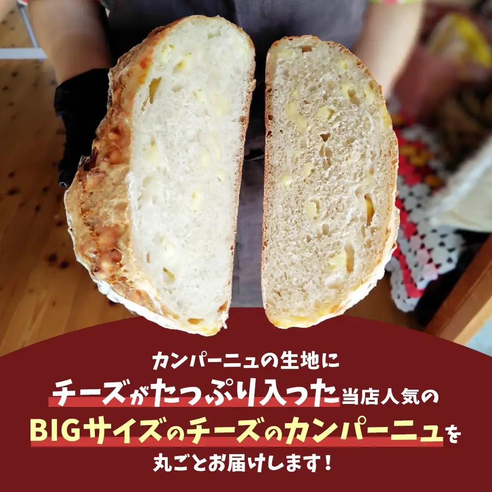 自家製天然酵母を使ったチーズカンパーニュ  | パンパンパンパン