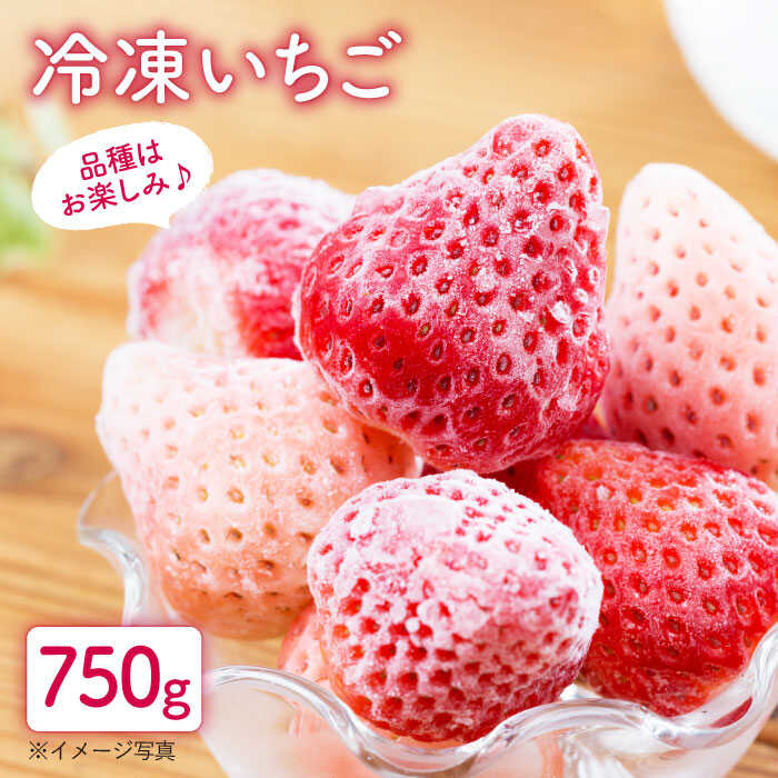 【ふるさと納税】【先行予約】冷凍いちご おまかせ 詰め合わせ 750g【岸川農園】ジャム シロップ スムージー 冷凍 イチゴ 苺 果物 くだもの フルーツ 冷凍果実 冷凍フルーツ 佐賀県 白石町 [IAP002]