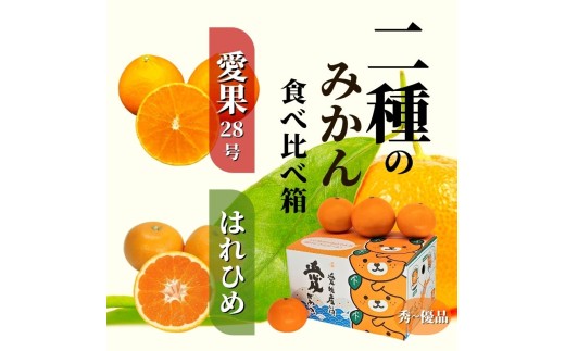 【2026年12月より順次発送】二種のみかん食べ比べ箱　愛果28号・はれひめ( 秀~優品 ) 約2.8kg （ 愛果28号 まどんな 柑橘 みかん 果物 くだもの フルーツ おすすめ 高級 人気 お取り寄せ グルメ ギフト 期間限定 数量限定 ご当地 愛媛県 松山市 ）
