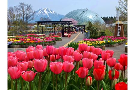 とっとり花回廊ギフト入園券２枚
