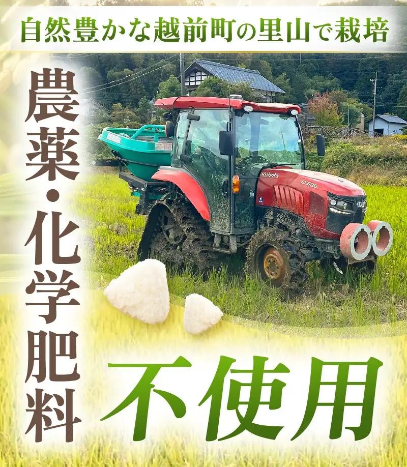 定期便 3ヶ月　新米【令和8年産】特別栽培米コシヒカリ5kg × 3回(玄米） 農薬化学肥料不使用【10月中旬以降発送】 [e81-e002_02]