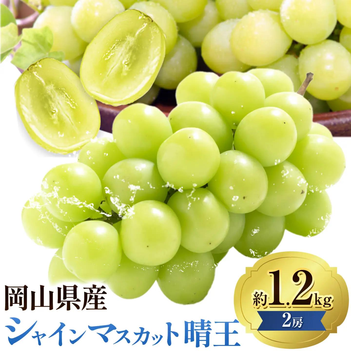 【先行予約】ぶどうシャインマスカット 晴王 約 1.2kg 2房 【配送不可地域あり】 株式会社藍《9月上旬-10月下旬頃出荷》 岡山県 浅口市 岡山県産 ぶどう フルーツ 果物 くだもの マスカット 送料無料