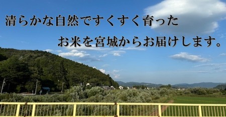 米 つや姫 令和7年産 精米 5kg 宮城県産 石巻市 1等米 こめ コメ お米 ツヤ姫 ご飯 ごはん 主食 おにぎり 美味しい 甘み 旨み