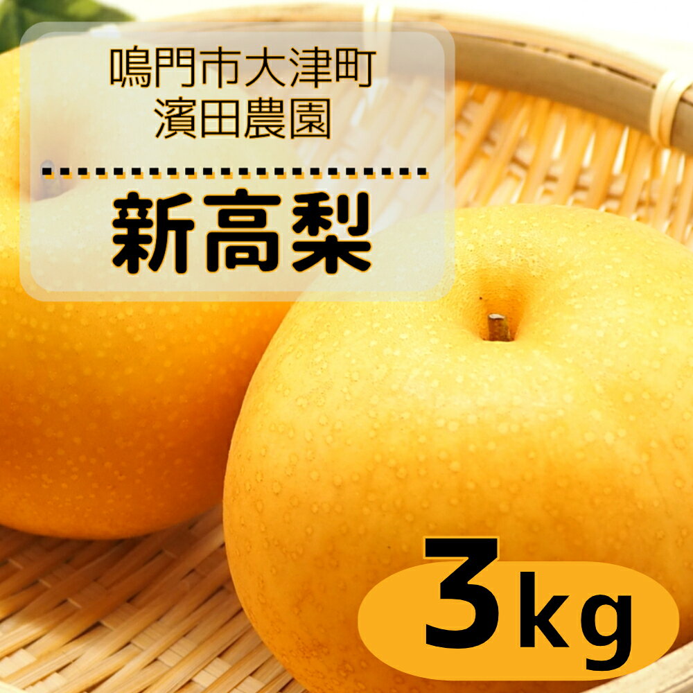 【ふるさと納税】【予約受付中・9月下旬～10月上旬頃より順次発送】濱田農園 新高梨 約3kg 【数量限定】 徳島県産 梨の王様 和梨 豊水 幸水 国産 鳴門