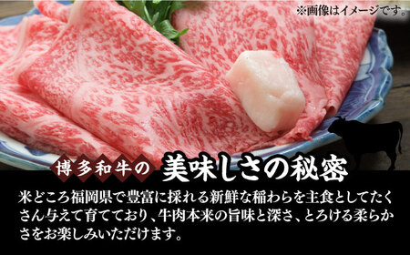 【全6回定期便】【厳選部位】博多和牛 サーロイン しゃぶしゃぶ すき焼き 用 500ｇ《豊前市》【MEAT PLUS】豚 豚肉 肉 [VBB065]
