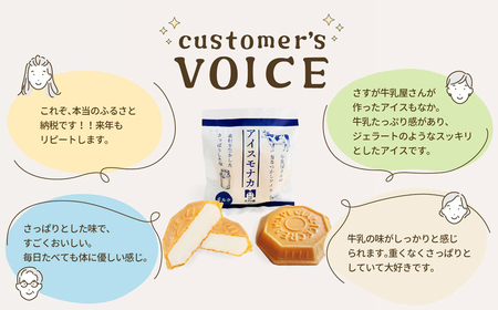 アイス アイスもなか 6個 ソフトクリーム 2個 スイーツセット
