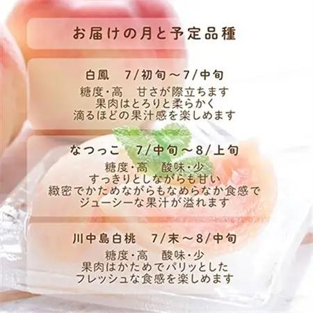 先行受付!　桃(特秀品)食べきりやすい3個入り【配送不可地域：離島】【1525342】