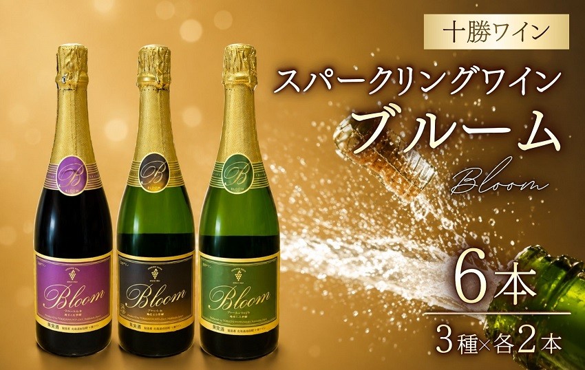 
                  【瓶内二次発酵】十勝ワイン スパークリングワイン 辛口 3種×2本 計6本 泡 本格製法 ギフト お祝い シャンパン
                