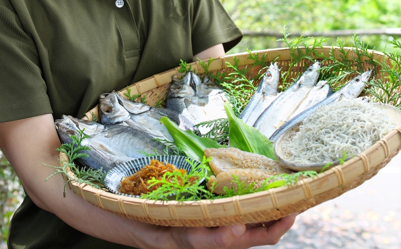 季節のおすすめ干物セットA  三重県紀宝町産 ※季節によって内容が異なります / ひもの 干物 みりん干し 開き 丸干し 詰め合わせ イカ さんま カマス しらす いわし アジ 冷蔵【ems002】