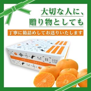 三代目がつくる高品質【頂みかん】2kg【1181949】