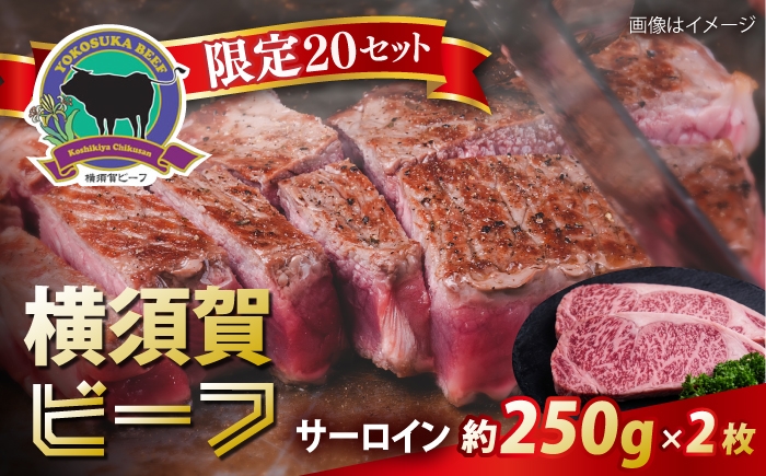 
                  【数量限定20セット】横須賀ビーフ サーロイン 約250g×2 【ヨコスカマルシェ・koshikiya（株）】 [AKGO011]
                