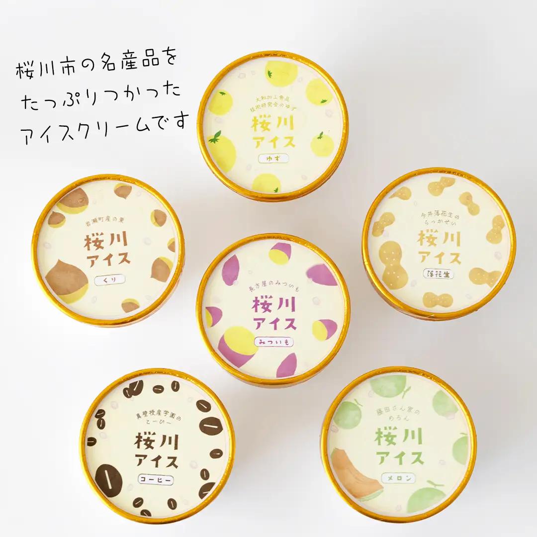 【生産者支援】桜川アイス 6種 6個 セット  数量限定 食べ比べ 90ml×6種類 桜川市のこだわり素材を使用 アイス あいす デザート スイーツ 産地限定 おやつ カップ フレーバー メロン ゆず