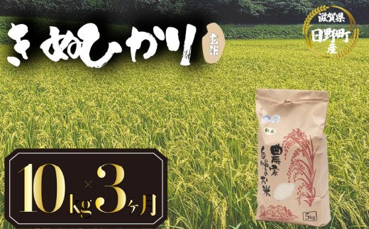 【 令和7年産 新米 10kg  定期便 3ヶ月 】 きぬひかり 米 玄米 国産 滋賀県 日野町 農家直送 お米 おこめ こめ 産地直送 ふるさと納税