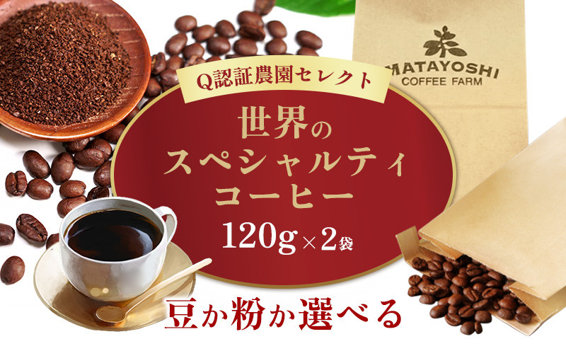 
            【豆か粉か選べる】又吉コーヒー園セレクト【世界のスペシャルティコーヒー】120g×2袋 スペシャルティ スペシャリティ コーヒー 高品質 自家焙煎 厳選 豆 粉 希少 焙煎 上級 最高級 珈琲 coffee 香り 風味 品質管理 品質基準 沖縄 東村
          