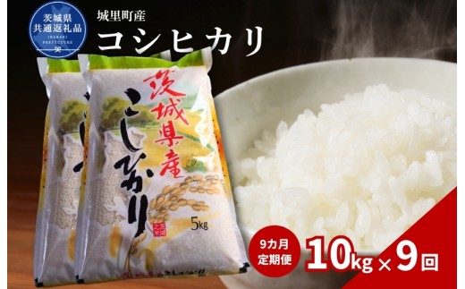 コシヒカリ 10kg  定期便 9ヶ月 米 こめ コメ お米 おこめ こしひかり 白米 精米 ごはん ご飯 令和7年産 茨城県 城里町 高萩市（茨城県共通返礼品・城里町産）