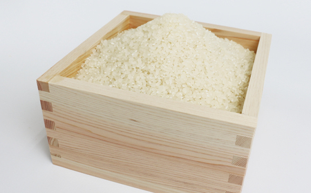 三間のせせらぎ 三間町産 コシヒカリ 5kg 渡辺農園 米 ごはん お弁当 おにぎり ブランド米 ふっくら ツヤツヤ 甘い 粘り 美味しい 農家直送 産地直送 数量限定 国産 愛媛 宇和島 G012-