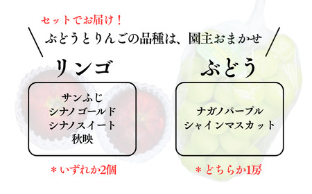 秋の贈り物 旬のぶどう1房と季節のりんご2個詰め合わせ|フルーツセット フルーツセット