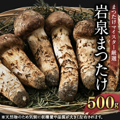 【ふるさと納税】岩泉まつたけ 500g【配送不可地域：離島】【1421537】