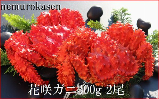
                  A-57060 【北海道根室産】花咲ガニ300g×2尾
                