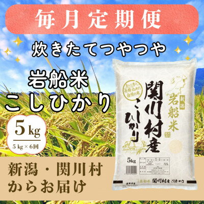 【ふるさと納税】【毎月定期便】炊きたてつやつや 新潟関川村産 岩船米こしひかり 5kg [星山米店]全6回【4075491】