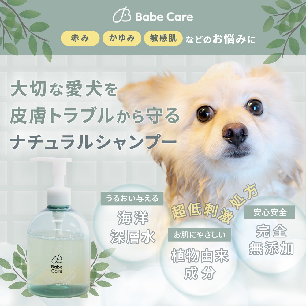 
                  ペット 犬用シャンプー 低刺激 敏感肌 無香料 皮膚ケア 被毛ケア かゆみ対策 子犬OK 海洋深層水 ベイブケア ナチュラルシャンプー 植物成分 コンディショナー不要 自宅ケア 国産 ペット用品 ふるさと納税 高知県 室戸市
                