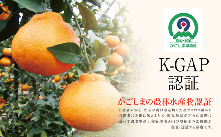 【南さつま市金峰町産】 ブランド不知火「大将季」 約3kg入り化粧箱 （8玉～12玉）南さつま市 金峰町産 国産 果物 フルーツ 旬 柑橘 不知火 しらぬい くだもの ハウス栽培 常温 鹿児島県