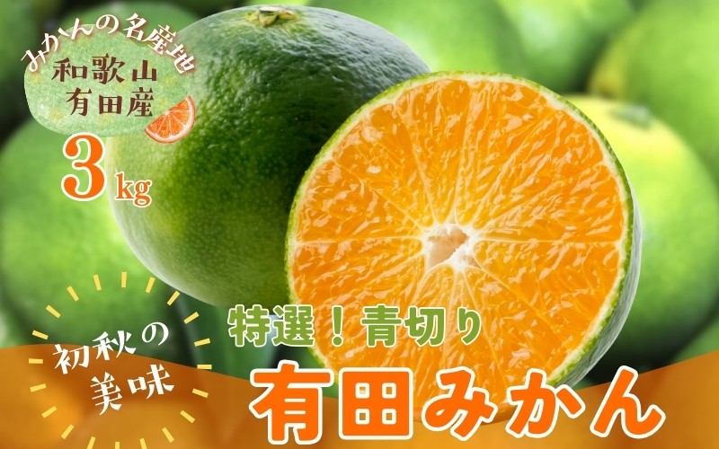 
                  【先行予約】【初秋の美味】【農家直送】特選　青切り有田みかん　約3kg+200g(傷み補償分)【2026年9月中旬～10月上旬頃に順次発送予定】【ard043C】
                