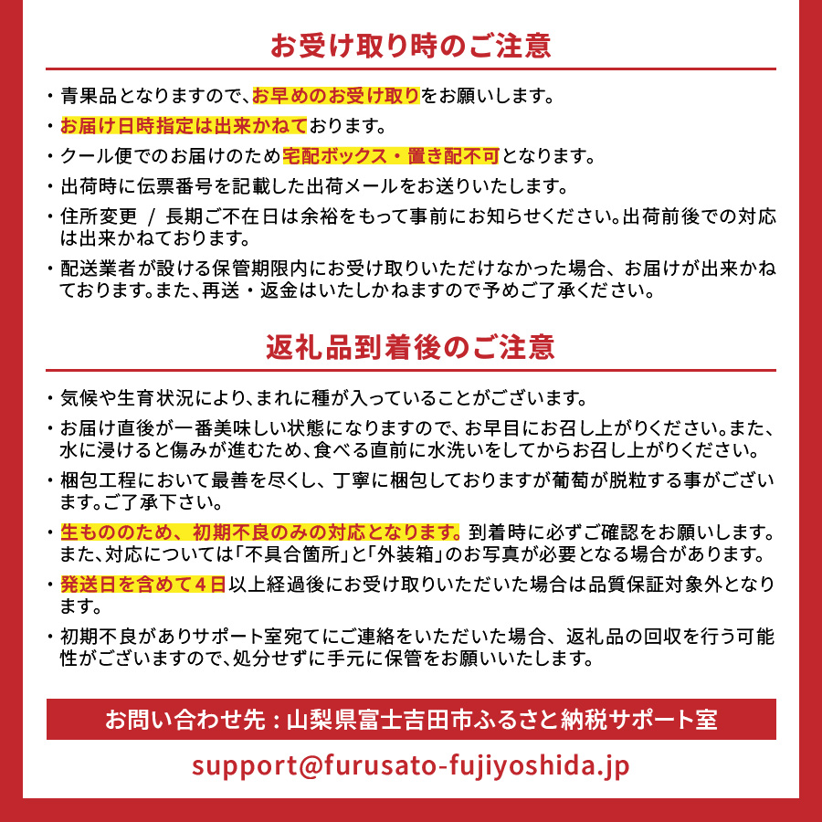 【2025年先行予約】【3回定期便】山梨県産 旬のフルーツセット(桃・ピオーネ・シャインマスカット)