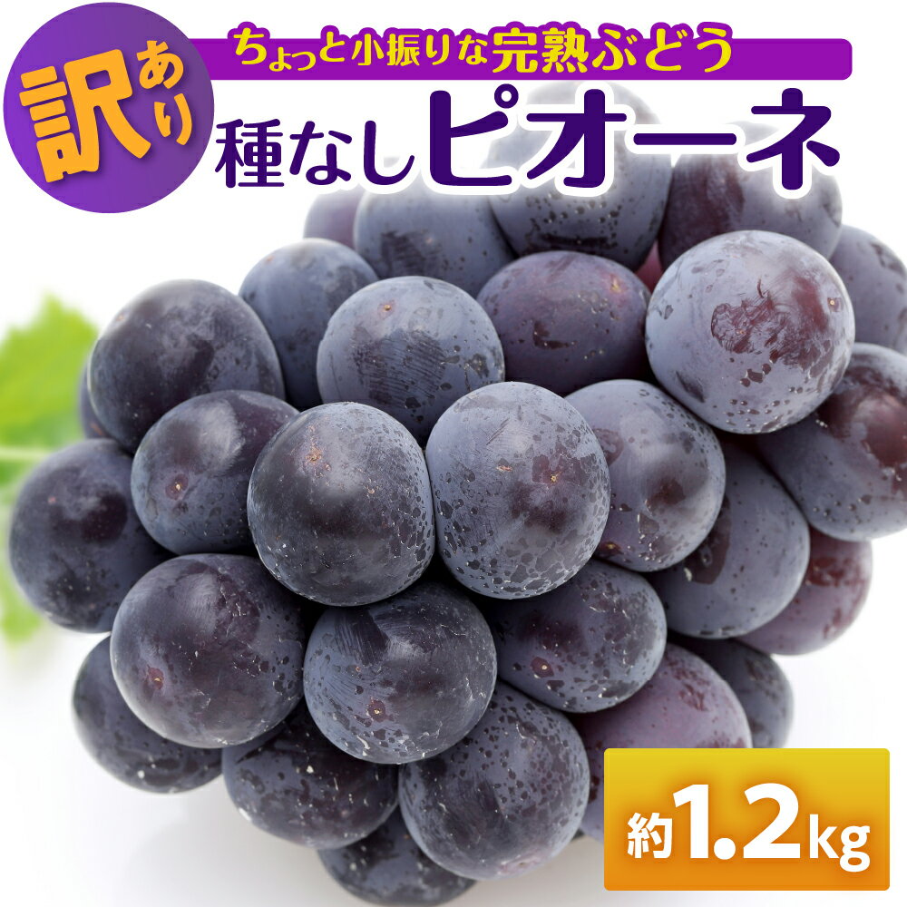 【ふるさと納税】【 配送時期が選べる 】訳あり ぶどう ピオーネ 種なし 1.2kg 程度（小振り・2房） 果物 フルーツ 青森県 五所川原市